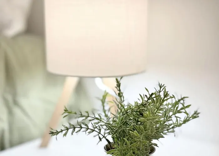 Apartment Woody Boutique 6 Trendy Flat By Homeful Homes